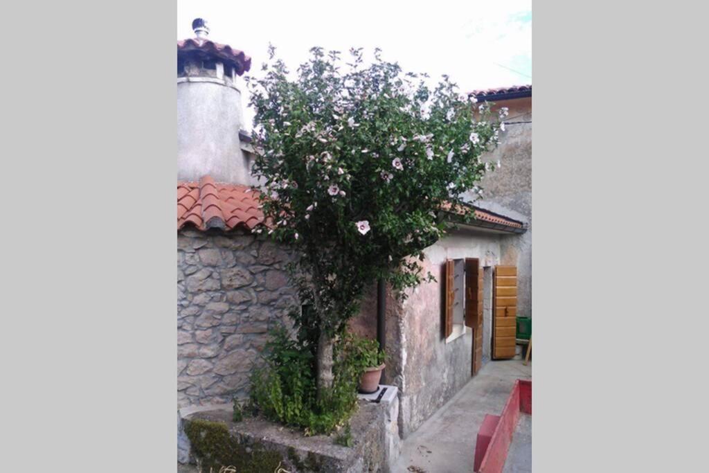 Vacation Home Marinici Moscenicka Draga Exterior photo